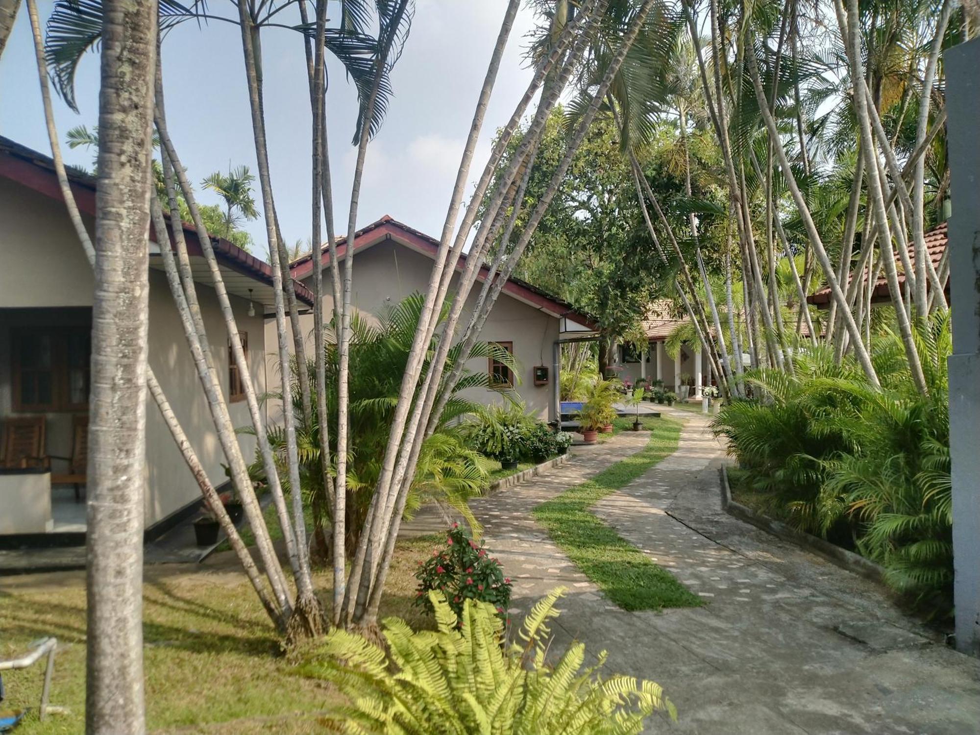 Blue Bell Hotel Negombo Exterior photo